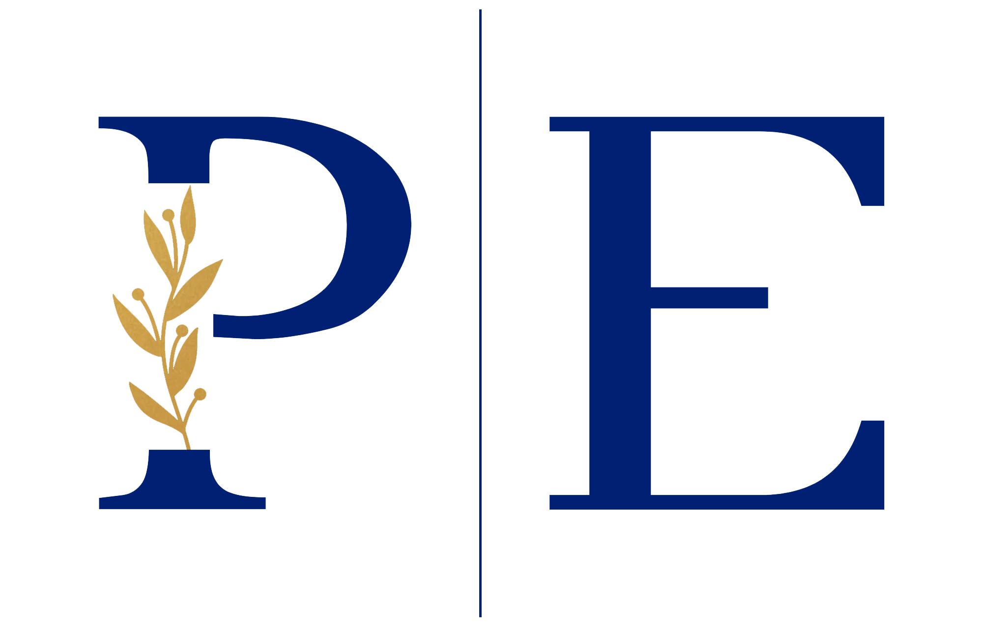 Peter Eggle Wealth Management & Financial Planning Ulm Logo